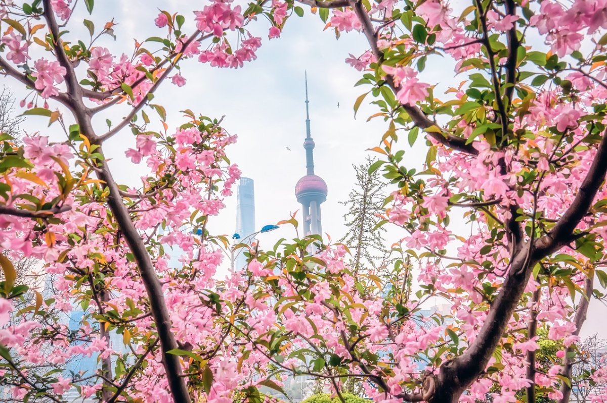 烂漫几多时 恰是踏青日 携手吉利星际城间客车赏花出行！